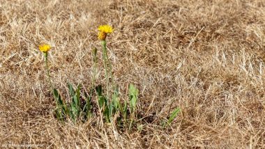 Klimanotstand? Konkrete Konzepte statt Aktionismus!